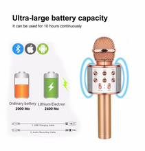 Load image into Gallery viewer, Wireless Karaoke Microphone