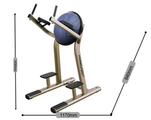 Load image into Gallery viewer, Limited Edition - Leg Lifting Exerciser Commercial Strength High Performance