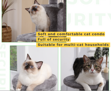 Load image into Gallery viewer, Luxury Cat Tree - Climbing Frame, Scratch Board Toy - Small Size