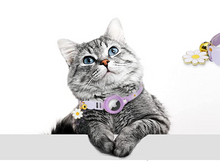 Load image into Gallery viewer, Airtag Protective Case Cat Kitten Collar - Adjustable