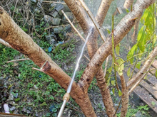 Load image into Gallery viewer, Quality Garden Water Hose - Many Colours 150FT