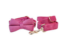 Load image into Gallery viewer, Luxury Pet Leash Engraved Name ID Tag + Collar + Bow/Flower - Free Engraving Personalise + Harness + Poop Bag (all Sizes)