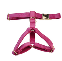 Load image into Gallery viewer, Luxury Pet Leash Engraved Name ID Tag + Collar + Bow/Flower - Free Engraving Personalise + Harness + Poop Bag (all Sizes)