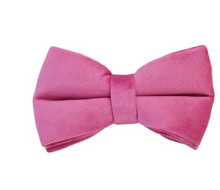 Load image into Gallery viewer, Luxury Pet Leash Engraved Name ID Tag + Collar + Bow/Flower - Free Engraving Personalise + Harness + Poop Bag (all Sizes)