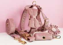 Load image into Gallery viewer, Luxury Pet Leash Engraved Name ID Tag + Collar + Flower/Bow Tie - Free Engraving Personalise + Harness + Poop Bag (all Sizes)