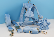 Load image into Gallery viewer, Luxury Pet Leash Engraved Name ID Tag + Collar + Flower/Bow Tie - Free Engraving Personalise + Harness + Poop Bag (all Sizes)