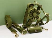 Load image into Gallery viewer, Luxury Pet Leash Engraved Name ID Tag + Collar + Flower/Bow Tie - Free Engraving Personalise + Harness + Poop Bag (all Sizes)