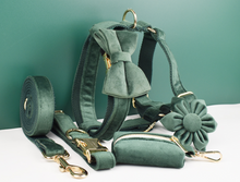 Load image into Gallery viewer, Luxury Pet Leash Engraved Name ID Tag + Collar + Flower/Bow Tie - Free Engraving Personalise + Harness + Poop Bag (all Sizes)