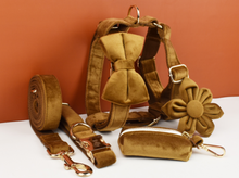 Load image into Gallery viewer, Luxury Pet Leash Engraved Name ID Tag + Collar + Flower/Bow Tie - Free Engraving Personalise + Harness + Poop Bag (all Sizes)