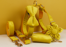 Load image into Gallery viewer, Luxury Pet Leash Engraved Name ID Tag + Collar + Flower/Bow Tie - Free Engraving Personalise + Harness + Poop Bag (all Sizes)