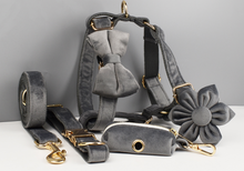 Load image into Gallery viewer, Luxury Pet Leash Engraved Name ID Tag + Collar + Flower/Bow Tie - Free Engraving Personalise + Harness + Poop Bag (all Sizes)