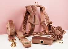 Load image into Gallery viewer, Luxury Pet Leash Engraved Name ID Tag + Collar + Flower/Bow Tie - Free Engraving Personalise + Harness + Poop Bag (all Sizes)