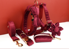 Load image into Gallery viewer, Luxury Pet Leash Engraved Name ID Tag + Collar + Flower/Bow Tie - Free Engraving Personalise + Harness + Poop Bag (all Sizes)