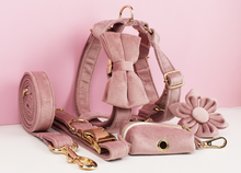 Load image into Gallery viewer, Luxury Pet Leash Engraved Name ID Tag + Collar + Flower/Bow Tie - Free Engraving Personalise + Harness + Poop Bag (all Sizes)