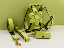 Load image into Gallery viewer, Luxury Pet Leash Engraved Name ID Tag + Collar + Flower/Bow Tie - Free Engraving Personalise + Harness + Poop Bag (all Sizes)
