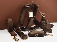 Load image into Gallery viewer, Luxury Pet Leash Engraved Name ID Tag + Collar + Flower/Bow Tie - Free Engraving Personalise + Harness + Poop Bag (all Sizes)