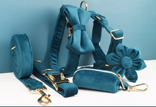 Load image into Gallery viewer, Luxury Pet Leash Engraved Name ID Tag + Collar + Flower/Bow Tie - Free Engraving Personalise + Harness + Poop Bag (all Sizes)