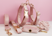 Load image into Gallery viewer, Luxury Pet Leash Engraved Name ID Tag + Collar + Flower/Bow Tie - Free Engraving Personalise + Harness + Poop Bag (all Sizes)