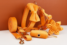 Load image into Gallery viewer, Luxury Pet Leash Engraved Name ID Tag + Collar + Flower/Bow Tie - Free Engraving Personalise + Harness + Poop Bag (all Sizes)