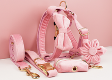 Load image into Gallery viewer, Luxury Pet Leash Engraved Name ID Tag + Collar + Flower/Bow Tie - Free Engraving Personalise + Harness + Poop Bag (all Sizes)