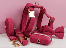 Load image into Gallery viewer, Luxury Pet Leash Engraved Name ID Tag + Collar + Bow Tie - Free Engraving Personalise + Harness + Poop Bag (all Sizes)
