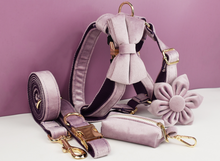 Load image into Gallery viewer, Luxury Pet Leash Engraved Name ID Tag + Collar + Flower/Bow Tie - Free Engraving Personalise + Harness + Poop Bag (all Sizes)