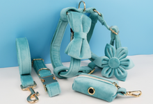 Load image into Gallery viewer, Luxury Pet Leash Engraved Name ID Tag + Collar + Flower/Bow Tie - Free Engraving Personalise + Harness + Poop Bag (all Sizes)