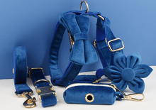 Load image into Gallery viewer, Luxury Pet Leash Engraved Name ID Tag + Collar + Flower/Bow Tie - Free Engraving Personalise + Harness + Poop Bag (all Sizes)