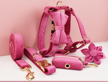 Load image into Gallery viewer, Luxury Pet Leash Engraved Name ID Tag + Collar + Flower/Bow Tie - Free Engraving Personalise + Harness + Poop Bag (all Sizes)