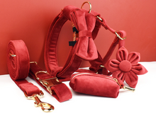 Load image into Gallery viewer, Luxury Pet Leash Engraved Name ID Tag + Collar + Flower/Bow Tie - Free Engraving Personalise + Harness + Poop Bag (all Sizes)