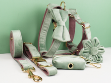 Load image into Gallery viewer, Luxury Pet Leash Engraved Name ID Tag + Collar + Flower/Bow Tie - Free Engraving Personalise + Harness + Poop Bag (all Sizes)