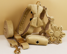 Load image into Gallery viewer, Luxury Pet Leash Engraved Name ID Tag + Collar + Flower/Bow Tie - Free Engraving Personalise + Harness + Poop Bag (all Sizes)