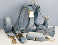 Load image into Gallery viewer, Luxury Pet Leash Engraved Name ID Tag + Collar + Bow Tie - Free Engraving Personalise + Harness + Poop Bag (all Sizes)