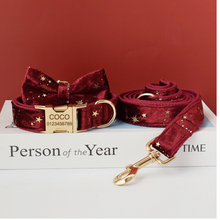 Load image into Gallery viewer, Luxury Pet Leash Engraved Name ID Tag + Collar + Bow - Free Engraving Personalise (all Sizes) + Many Styles/Colours