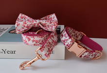 Load image into Gallery viewer, Luxury Pet Leash Engraved Name ID Tag + Collar + Bow - Free Engraving Personalise (all Sizes)
