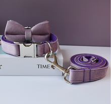 Load image into Gallery viewer, Luxury Pet Leash Engraved Name ID Tag + Collar + Bow - Free Engraving Personalise (all Sizes)