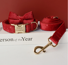 Load image into Gallery viewer, Luxury Pet Leash Engraved Name ID Tag + Collar + Bow - Free Engraving Personalise (all Sizes)