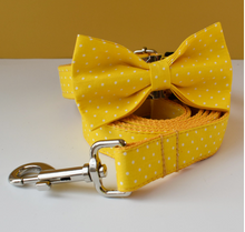 Load image into Gallery viewer, Luxury Pet Leash Engraved Name ID Tag + Collar + Bow - Free Engraving Personalise (all Sizes)