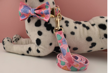 Load image into Gallery viewer, Luxury Pet Leash Engraved Name ID Tag + Collar + Bow - Free Engraving Personalise (all Sizes)