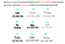 Load image into Gallery viewer, Luxury Pet Leash Engraved Name ID Tag + Collar + Bow - Free Engraving Personalise (all Sizes)