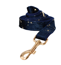 Load image into Gallery viewer, Luxury Pet Leash Engraved Name ID Tag + Collar + Bow - Free Engraving Personalise (all Sizes) + Many Styles/Colours