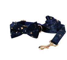 Load image into Gallery viewer, Luxury Pet Leash Engraved Name ID Tag + Collar + Bow - Free Engraving Personalise (all Sizes)