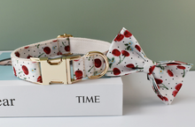 Load image into Gallery viewer, Luxury Pet Leash Engraved Name ID Tag + Collar + Bow - Free Engraving Personalise (all Sizes)