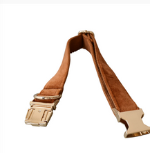 Load image into Gallery viewer, Luxury Pet Leash Engraved Name ID Tag + Collar + Bow - Free Engraving Personalise (all Sizes)