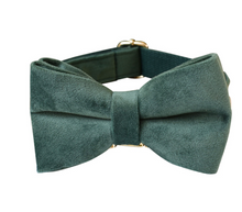 Load image into Gallery viewer, Luxury Pet Leash Engraved Name ID Tag + Collar + Bow - Free Engraving Personalise (all Sizes)