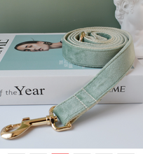 Load image into Gallery viewer, Luxury Pet Leash Engraved Name ID Tag + Collar + Bow - Free Engraving Personalise (all Sizes)