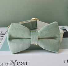 Load image into Gallery viewer, Luxury Pet Leash Engraved Name ID Tag + Collar + Bow - Free Engraving Personalise (all Sizes)