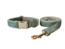 Load image into Gallery viewer, Luxury Pet Leash Engraved Name ID Tag + Collar + Bow - Free Engraving Personalise (all Sizes)