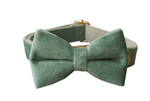 Load image into Gallery viewer, Luxury Pet Leash Engraved Name ID Tag + Collar + Bow - Free Engraving Personalise (all Sizes)