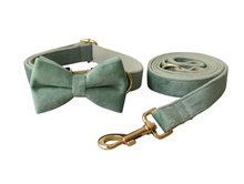 Load image into Gallery viewer, Luxury Pet Leash Engraved Name ID Tag + Collar + Bow - Free Engraving Personalise (all Sizes)